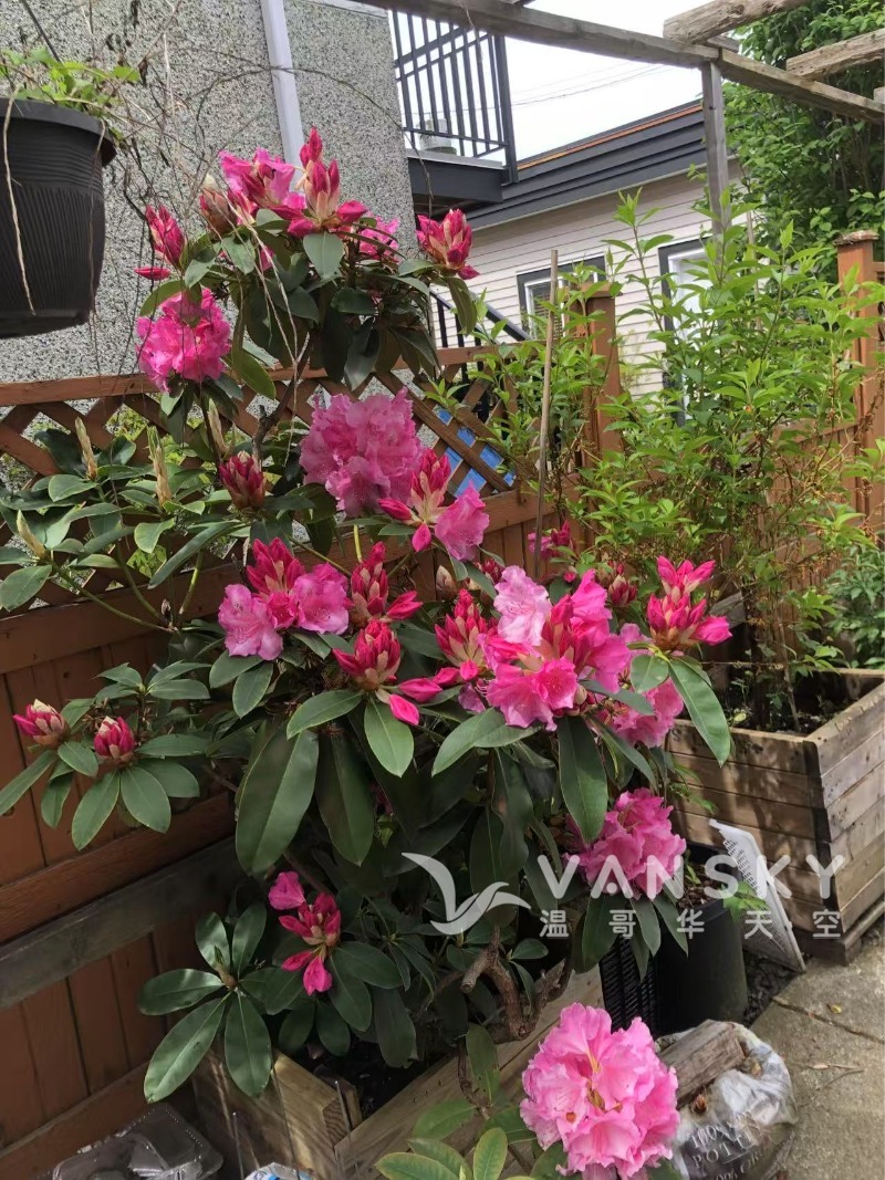 250517135944_Weixin Image_20250517135911.jpg